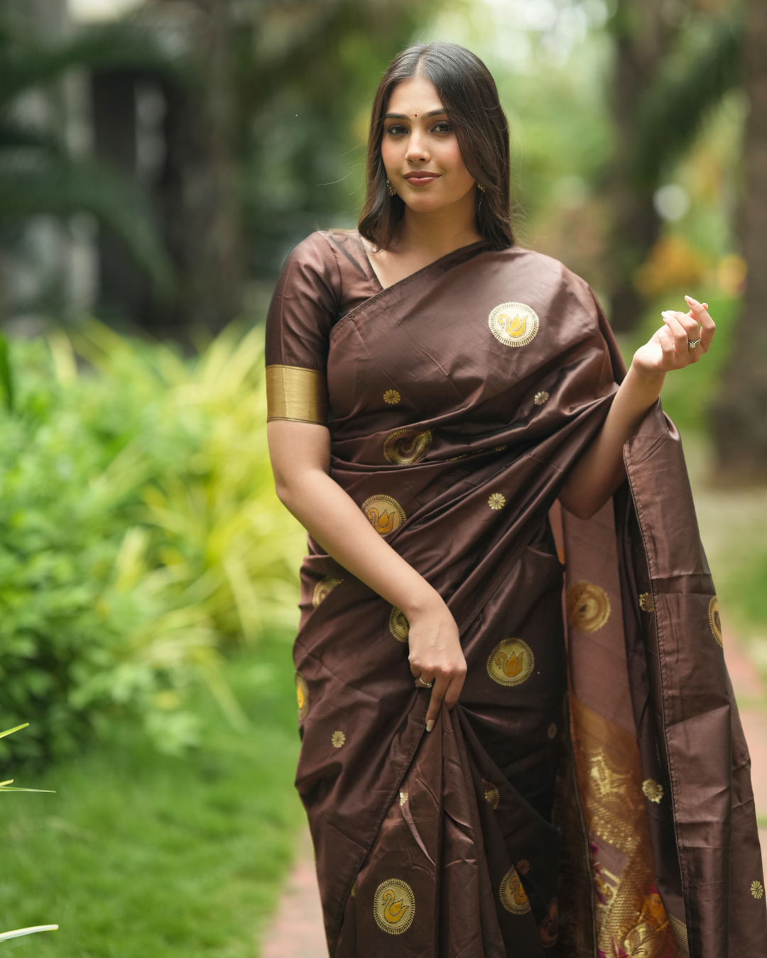 Deep Coffee Brown Silk Saree with Swan Butta