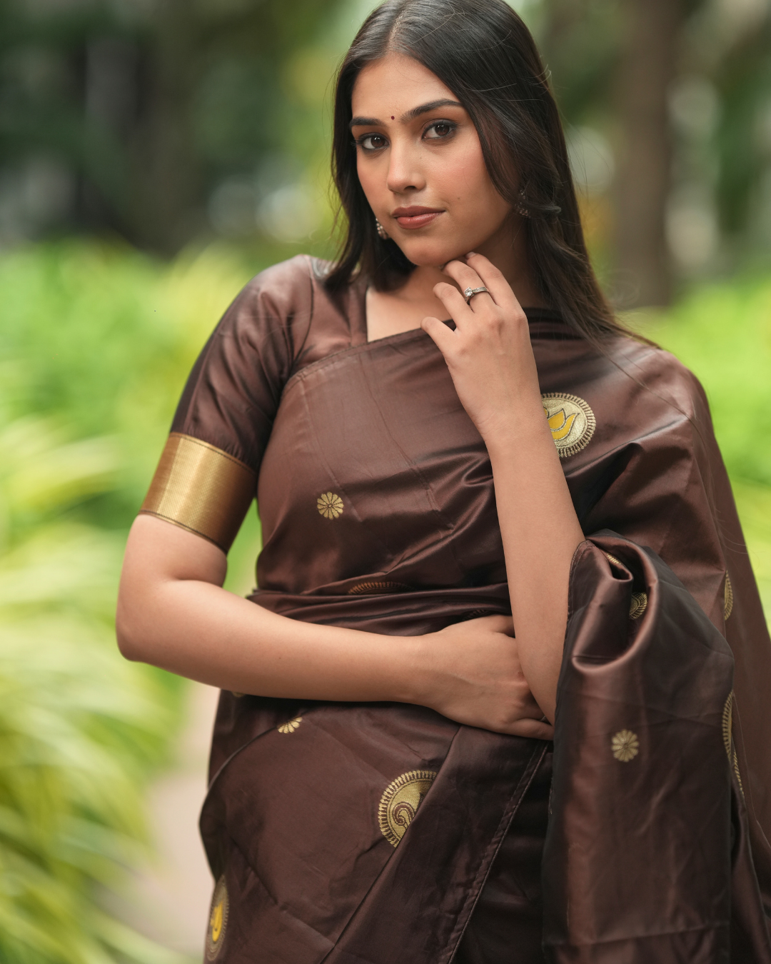 Deep Coffee Brown Silk Saree with Swan Butta