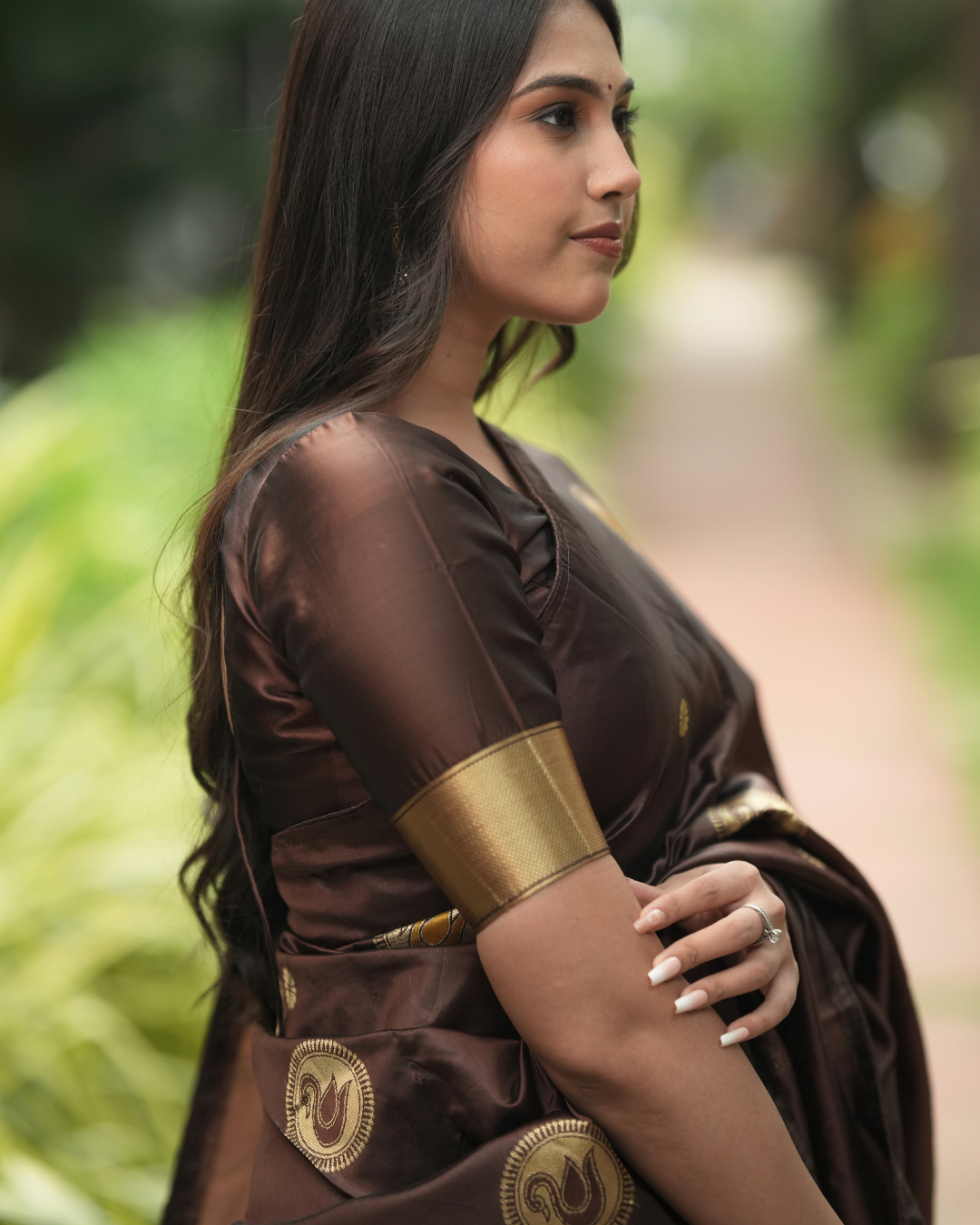Deep Coffee Brown Silk Saree with Swan Butta